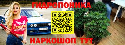 гидропоника Аргун