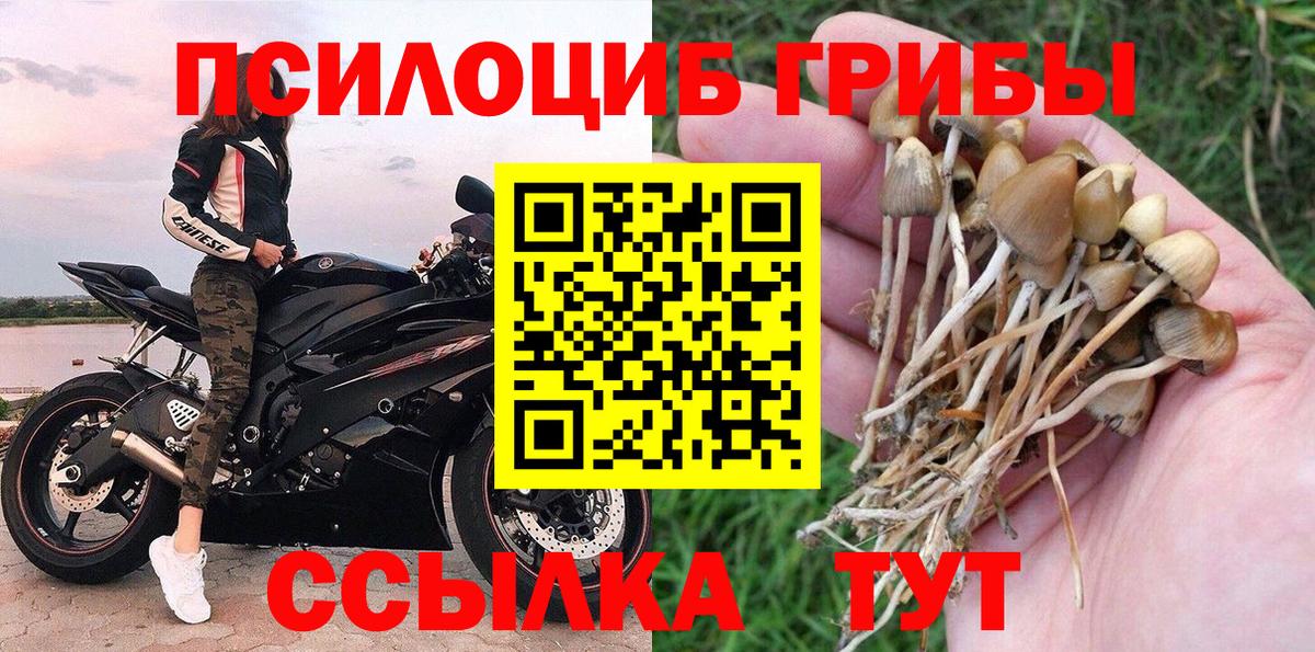 Волжский  где найти   Вход с VPN  Галлюциногенные грибы MAGIC MUSHROOMS 