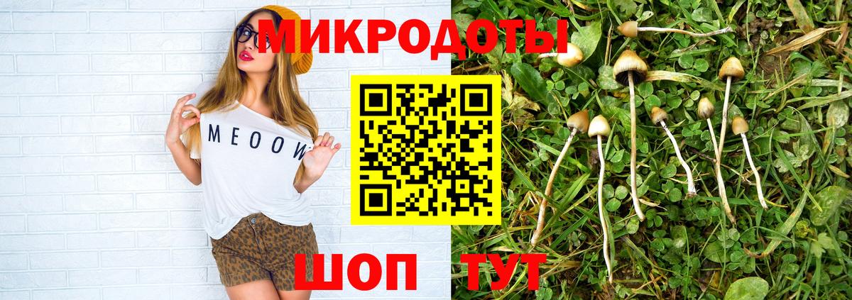 Псилоцибиновые грибы мицелий Волжский